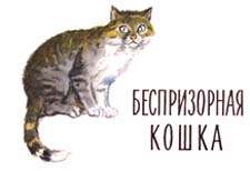 Отзыв о рассказе Житкова «Беспризорная кошка»