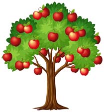 Викторина по сказке Е.Пермяка «Удочерённая яблонька» (с ответами)