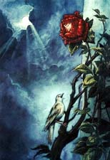 Отзыв о сказке О.Уайльда "Соловей и роза"