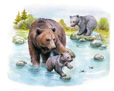 Отзыв о рассказе Бианки «Купание медвежат»