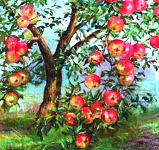 "Волшебная яблоня". Польская сказка