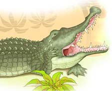 Почему крокодил плачет? Рассказ детям