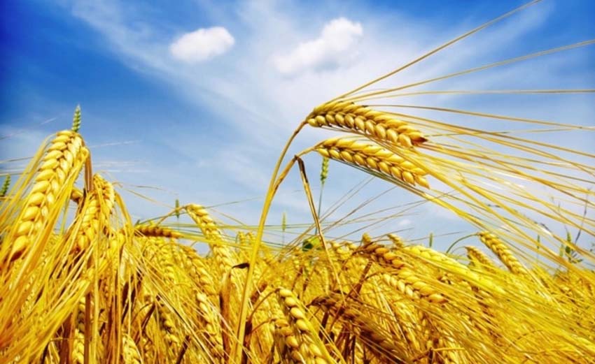 Лето заканчивается...