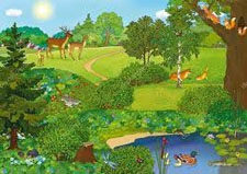 Веселые стихи про животных леса