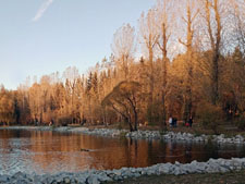 Красивые фразы про осень