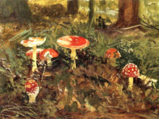 Рассказ о мухоморе детям