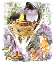Отзыв о сказке Д.Н.Мамина-Сибиряка «Про Воронушку - Черную Головушку и желтую птичку Канарейку»